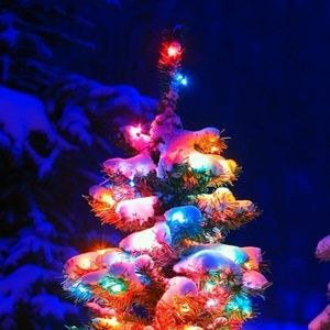 Meet your Posher, Wanda